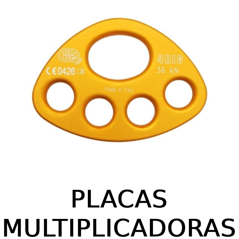 Placas multiplicadoras