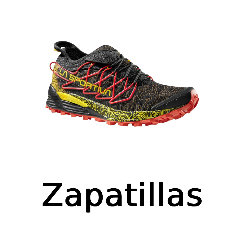 Zapatillas